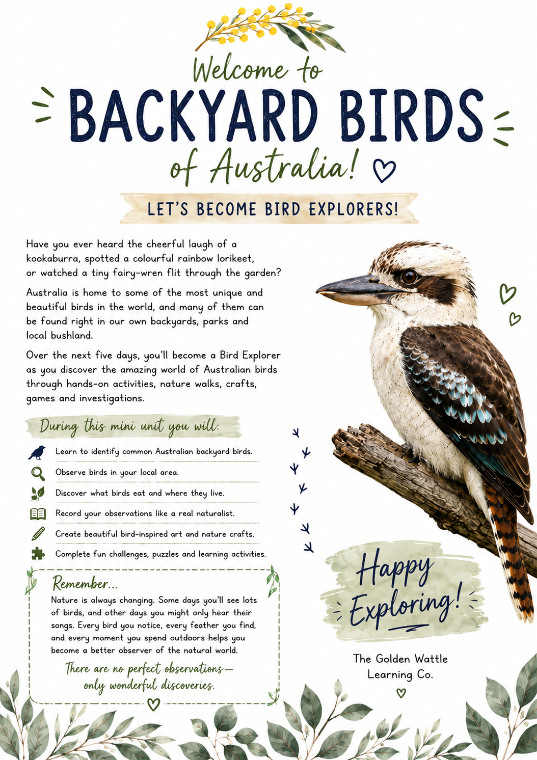 Birds of Australia Mini Study Unit